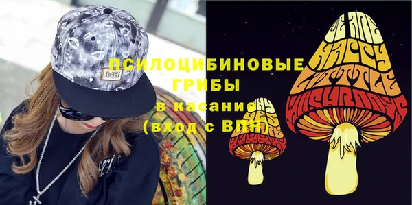 МДПВ Волосово