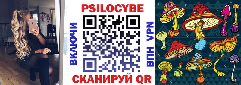 Псилоцибиновые грибы Psilocybe  Омутнинск 